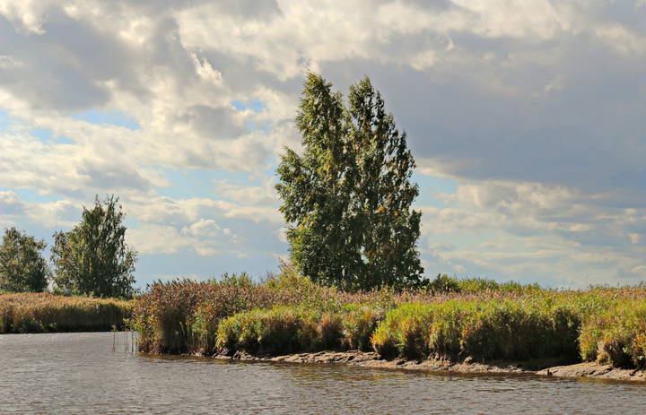Река Толба