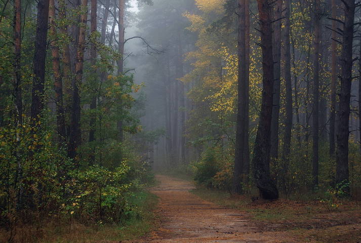 Осень
