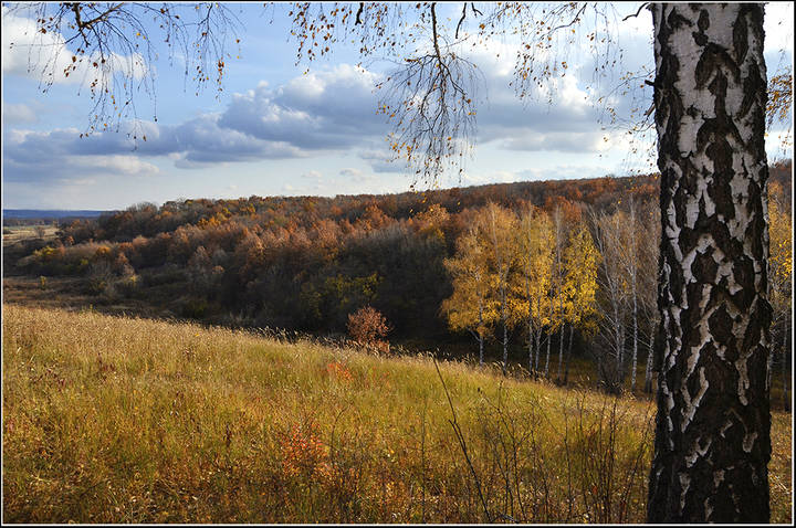 Осень
