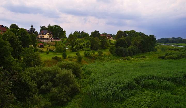Зеленая планета