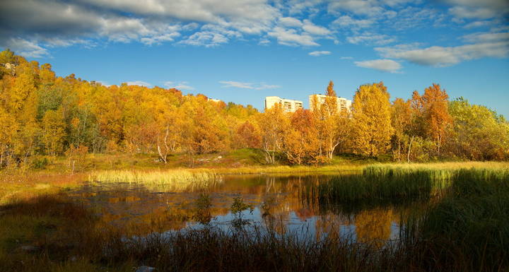 Город в осени