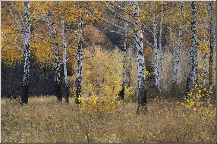 Осень