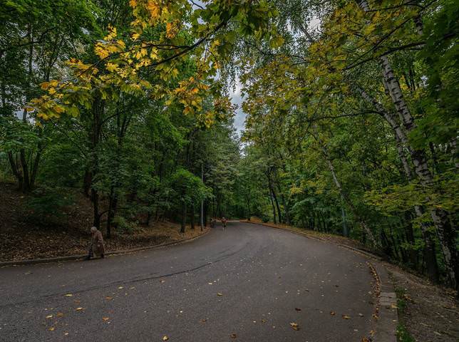 Сентябрьская осень