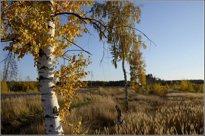 Осень