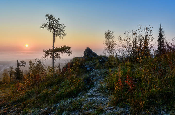 Первые заморозки