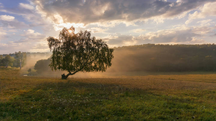 На заре