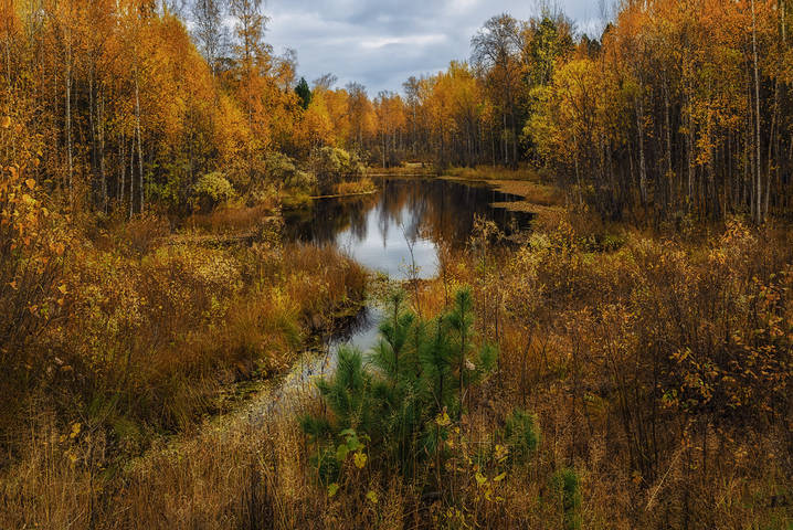 Осенний
