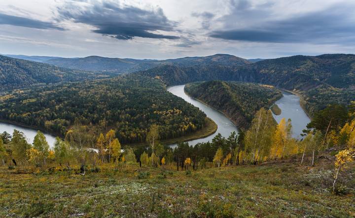 Манская петля