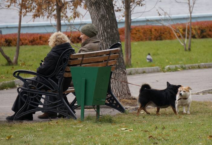 Роскошь общения