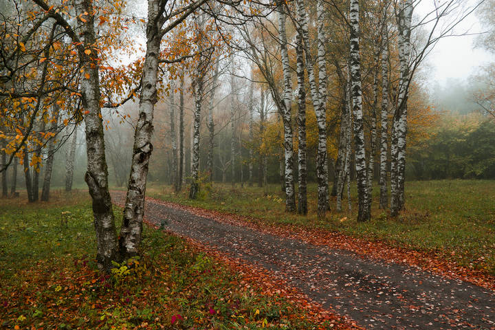 Осень