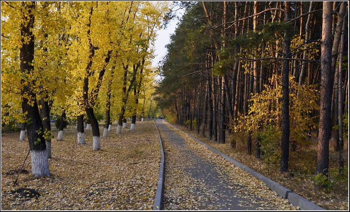 Осень в городе