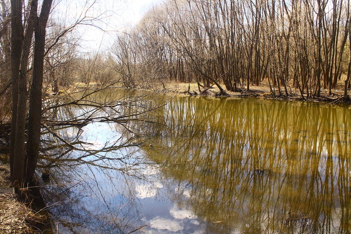 река Яуза в Свиблове