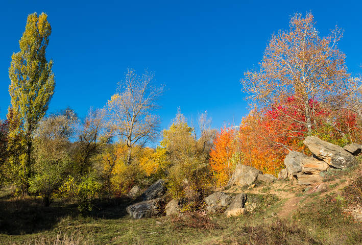 Осень