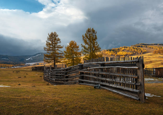 Алтай, Улаганское плато, осень