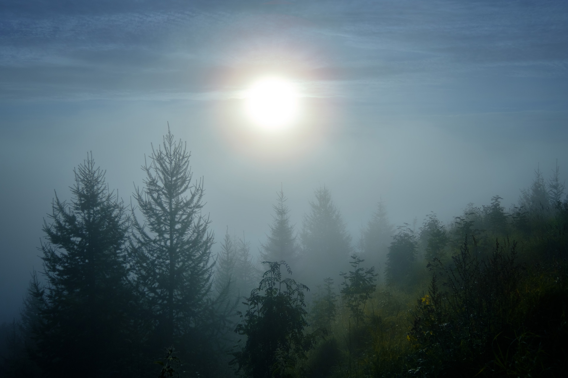 Туманное утро в Чердыни