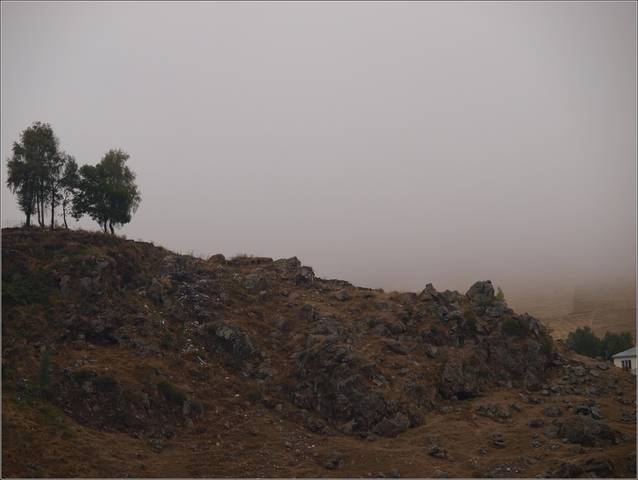 Одинокий домик в тумане, осенью.
