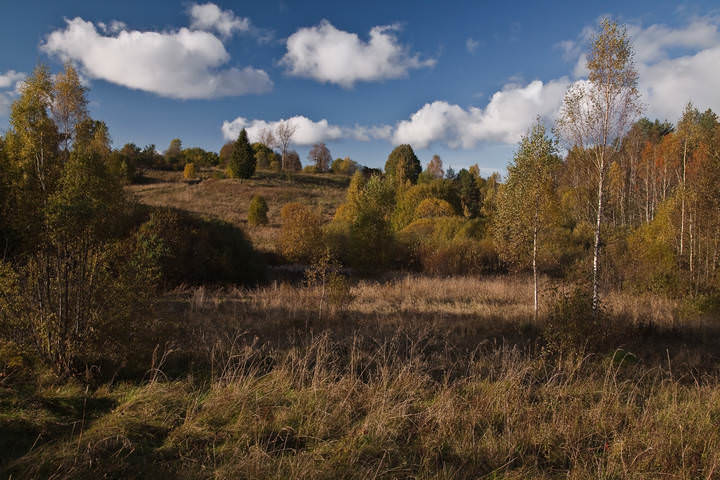 Теплая Осень
