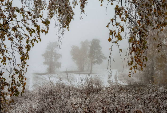Грустная осень. 