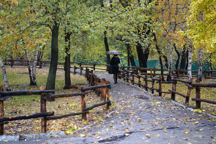 Осенний парк