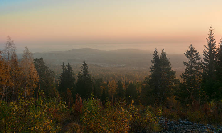 Осенняя палитра