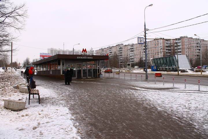 метро "Новоясеневская"