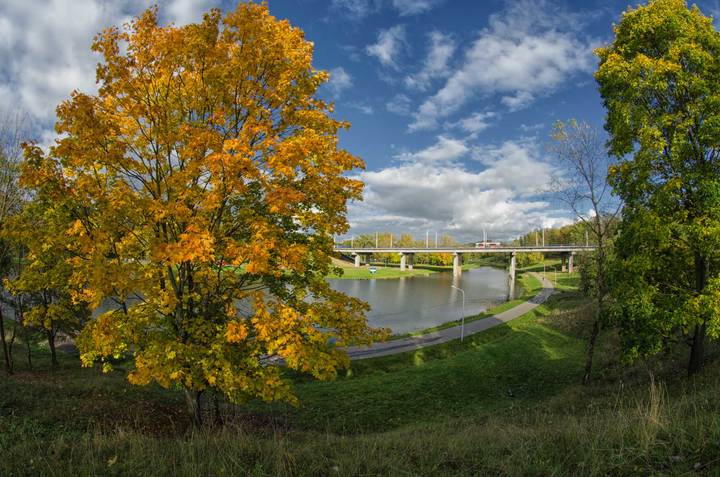 Осень в городском парке