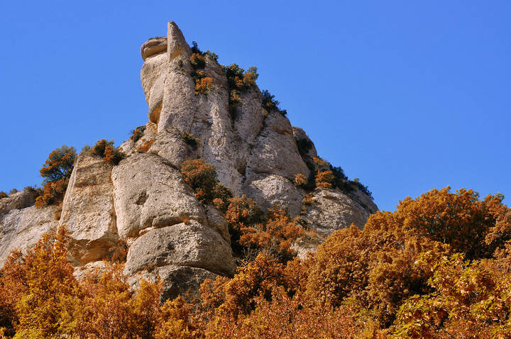 Montserrat