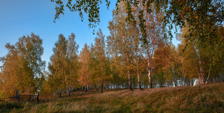 Золотая осень