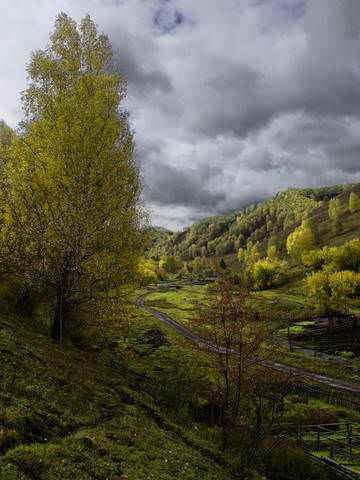 Алтайская зарисовка