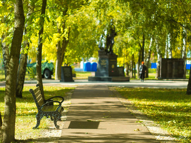 Аллея в парке
