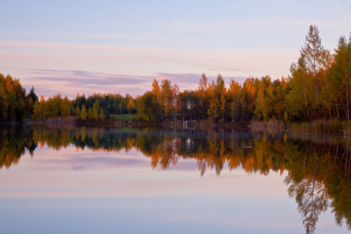 Лесное зеркало.