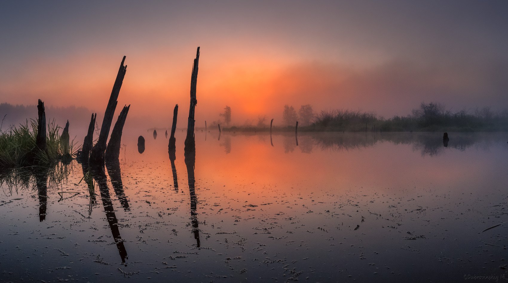 Туманное утро на безымянном озере