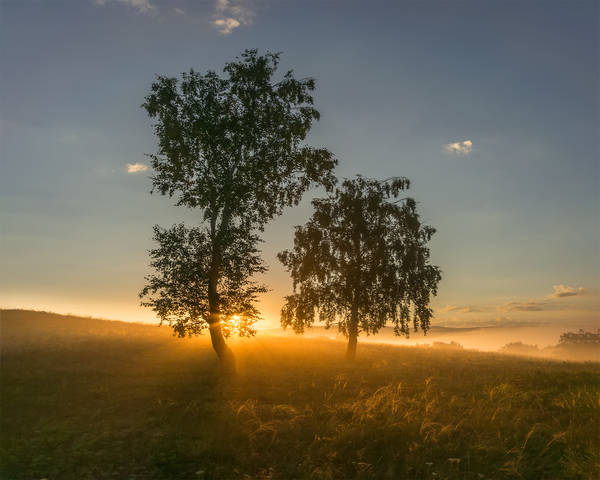 Зорька