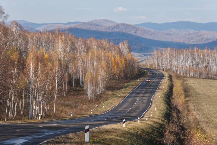Зарисовка осени