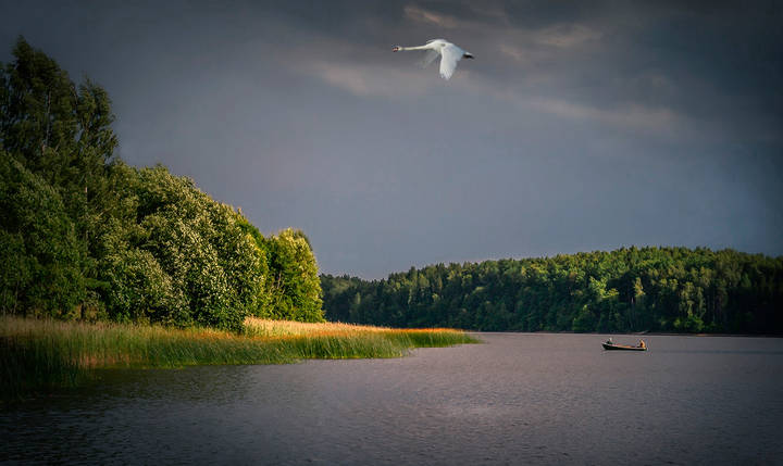 Перед грозой.