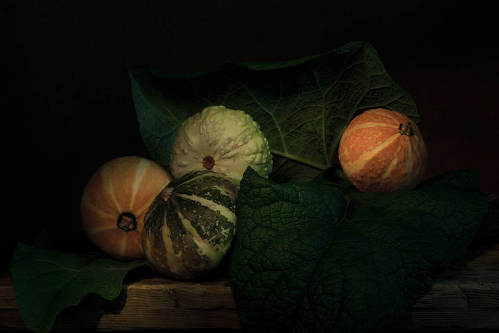 тыковки в лопухах