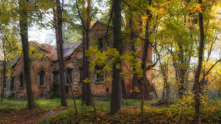 Осень в Суханово
