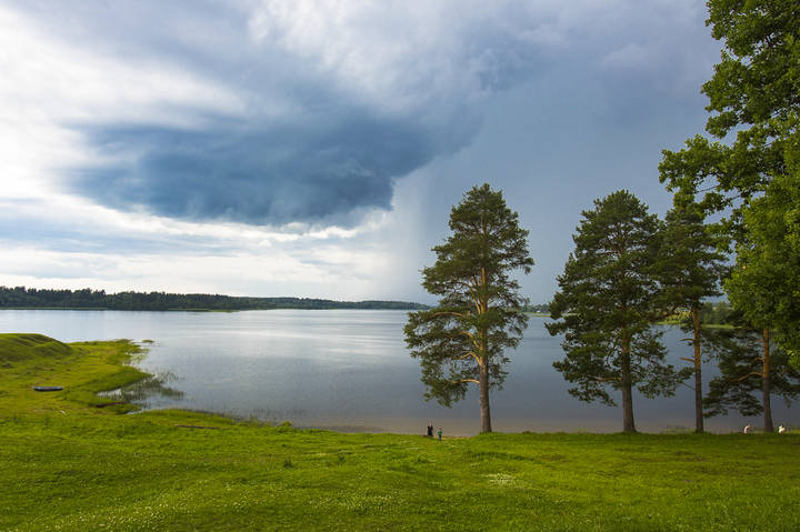 Перед грозой
