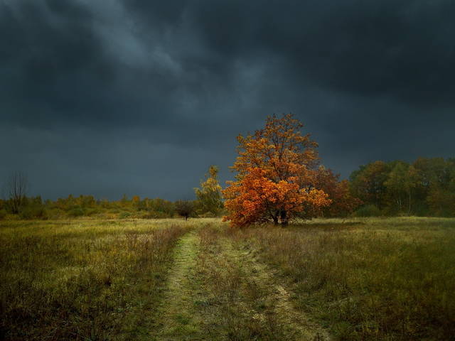 Осень
