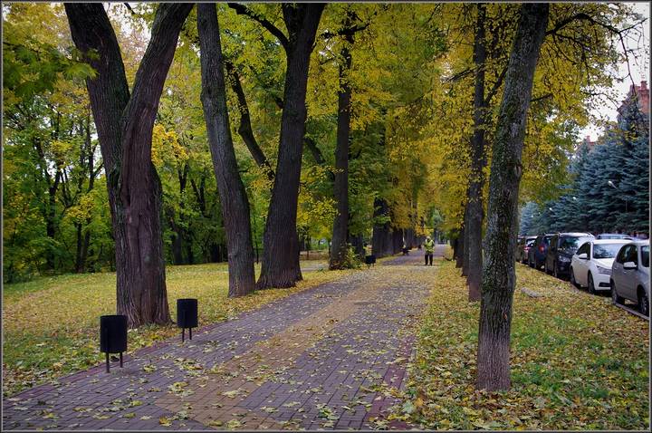 Осень в город пришла