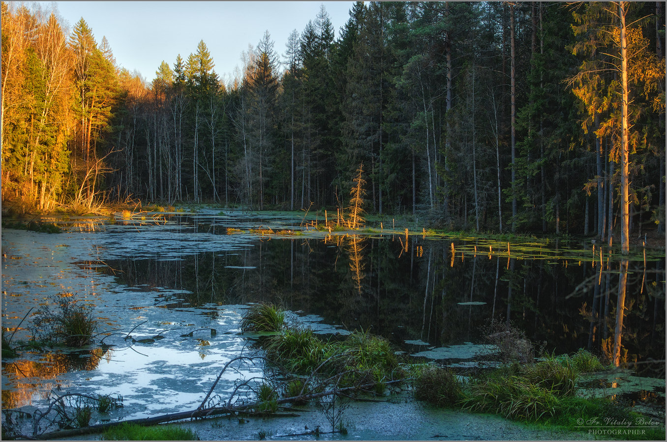 Отблески осеннего заката на заболоченном лесном озере