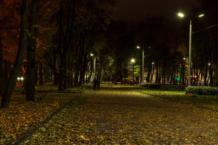 В парке листопад