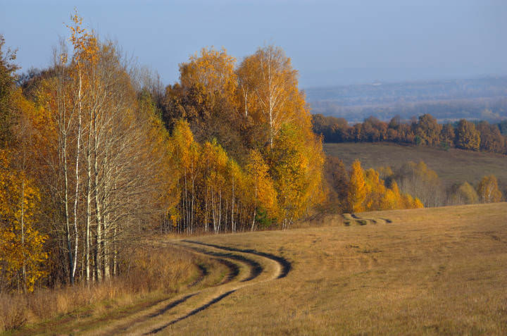 Заманила нас дорога...