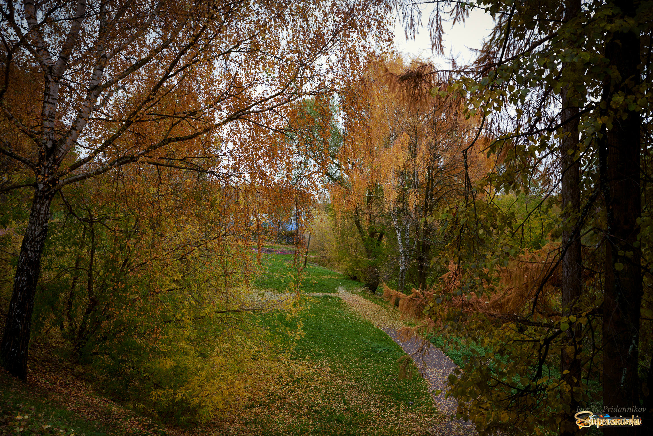 Осенний Ярославль