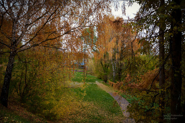 Осенний Ярославль