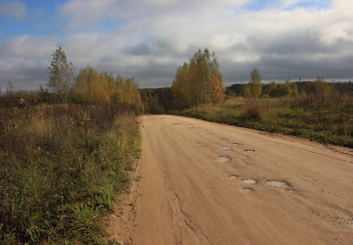 Дорога в осень.
