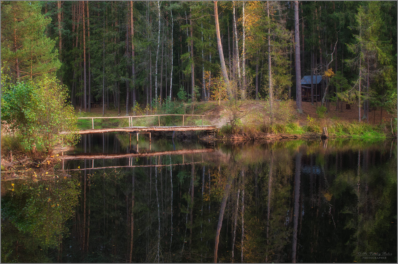 Новый мостик на лесном озере