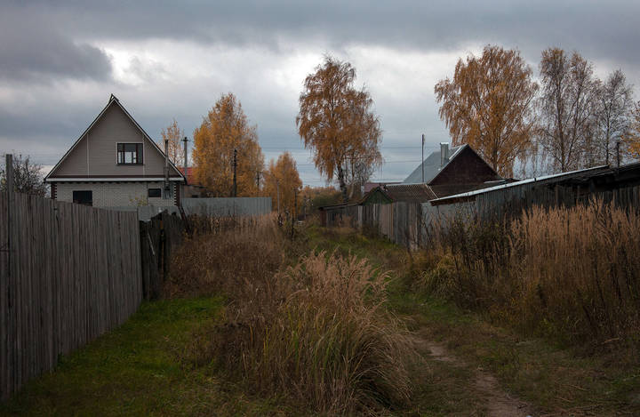 Сегодня в деревне 