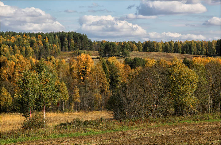 Ранняя осень