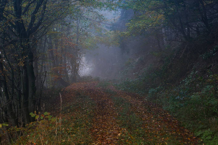 Осеннее